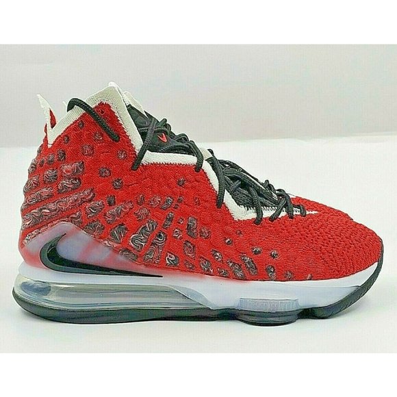 Nike Lebron 17 \